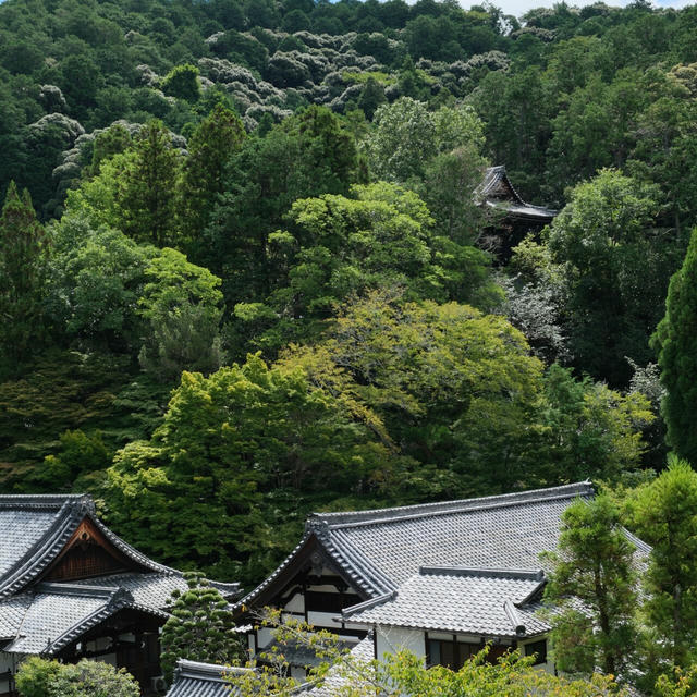 2024/09 Japan photo 18